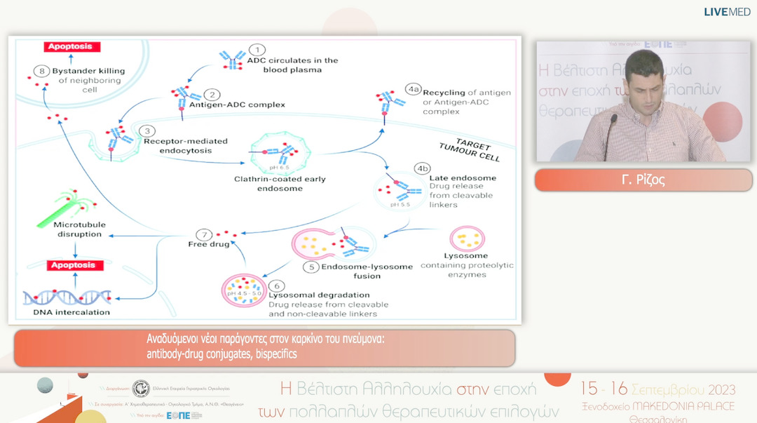 40 Γ. Ρίζος - Αναδυόμενοι νέοι παράγοντες στον καρκίνο του πνεύμονα: antibody-drug conjugates, bispecifics