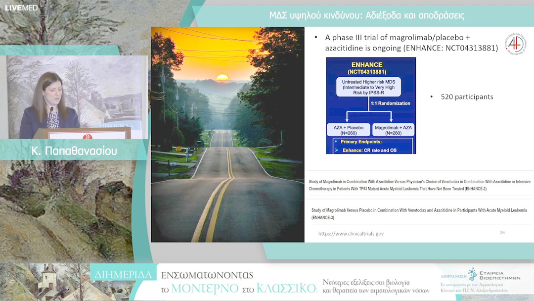 25 Κ. Παπαθανασίου - ΜΔΣ υψηλού κινδύνου: Αδιέξοδα και αποδράσεις 