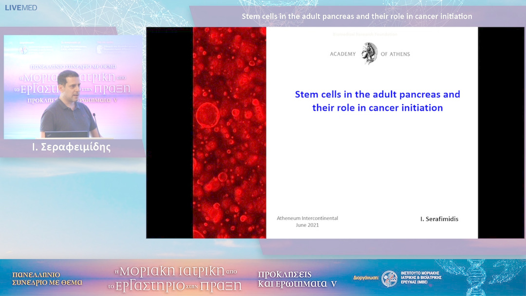 24 Ι. Σεραφειμίδης - Stem cells in the adult pancreas and their role in cancer initiation 