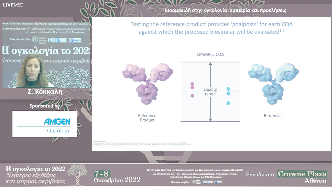 10 Σ. Κόκκαλη - Βιοομοειδή στην ογκολογία: εμπειρία και προκλήσεις