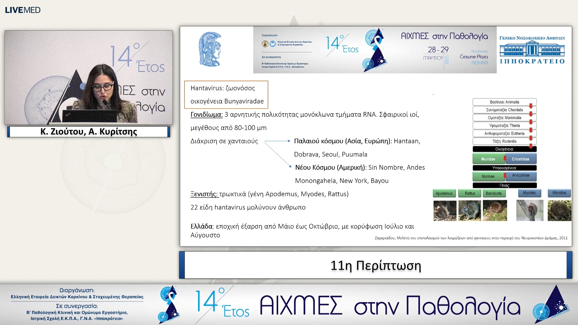 11 Κ. Ζιούτου - 11η Περίπτωση