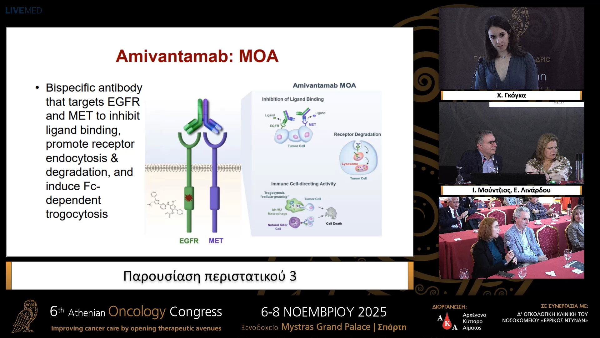 28 Χ. Γκόγκα - Παρουσίαση περιστατικού 3
