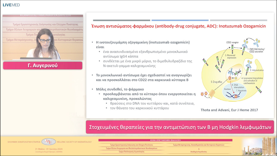 32 Γ. Αυγερινού - Στοχευμένες θεραπείες για την αντιμετώπιση των B μη Hodgkin λεμφωμάτων