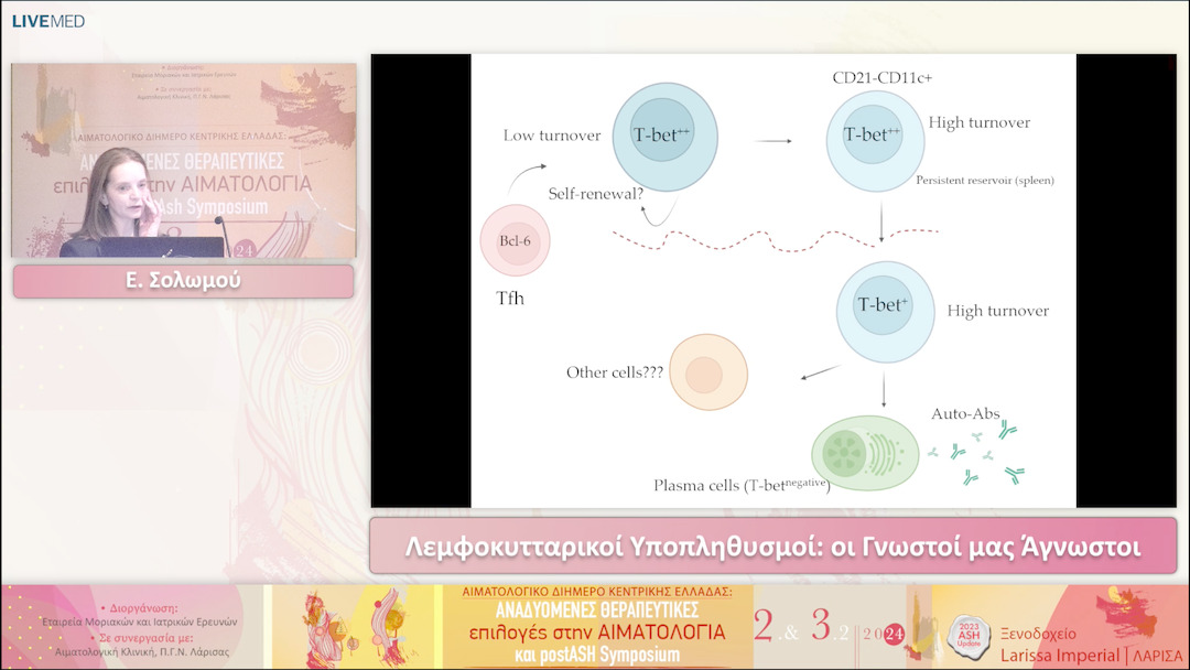 23 Ε. Σολωμού - Λεμφοκυτταρικοί Υποπληθυσμοί: οι Γνωστοί μας Άγνωστοι 