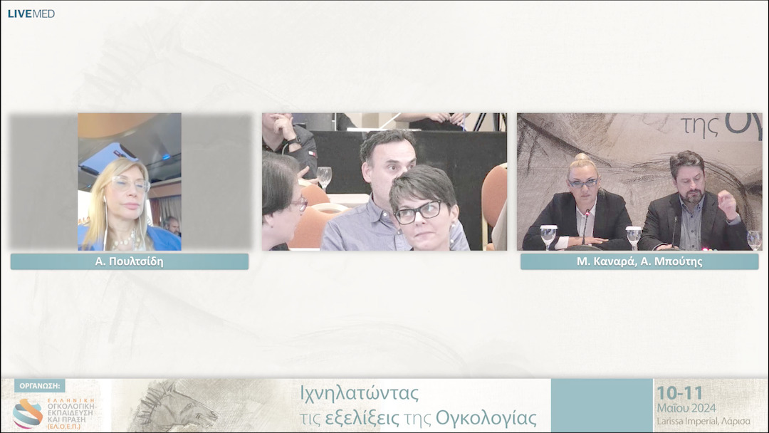 51 Ε. Σοϊλεμέζη, Κ. Σωτηριάδου - Σχολιασμός 