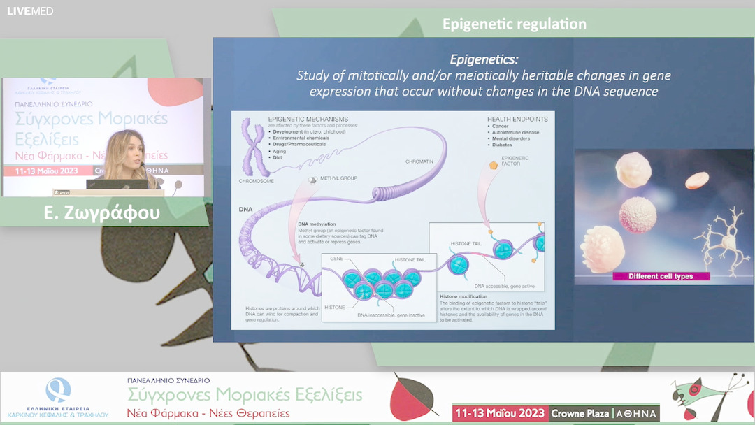 10 Ε. Ζωγράφου - Epigenetic regulation
