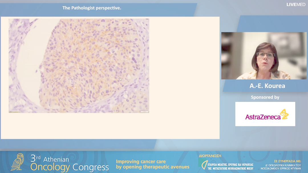 20 Α.-Ε. Kourea - The Pathologist perspective.