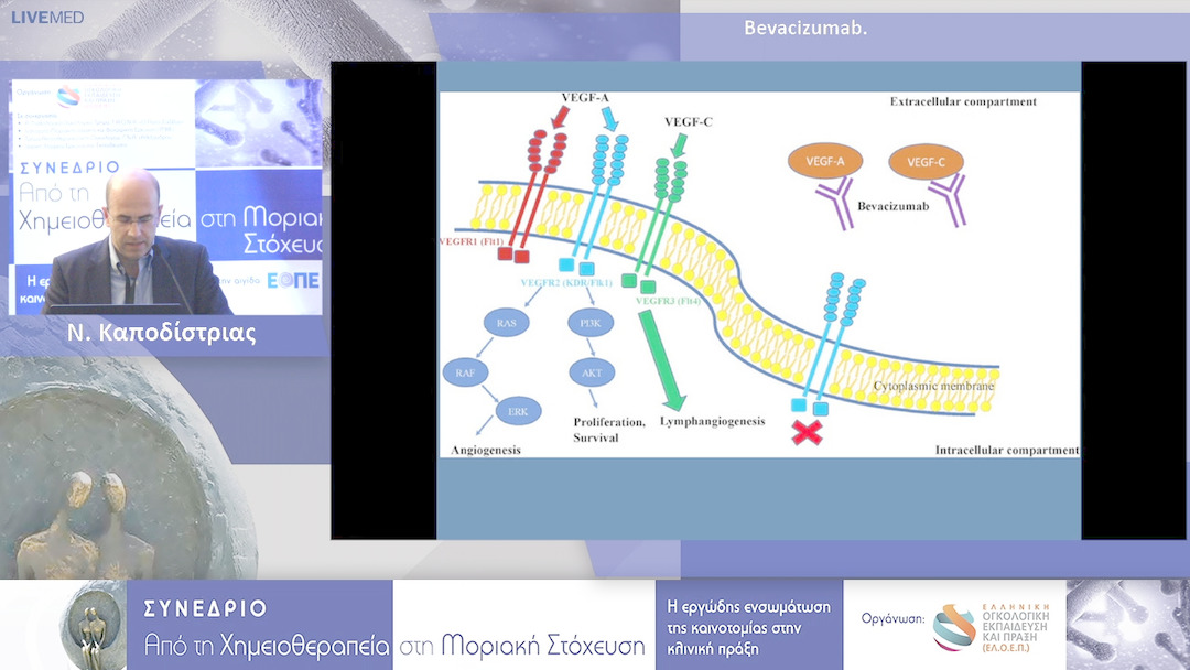 37 Ν. Καποδίστριας - Moνοκλωνικά αντισώματα στην αγγειογένεση σε ποιες νόσους αποτελεί ήδηβασική συνιστώσα Bevacizumab. 