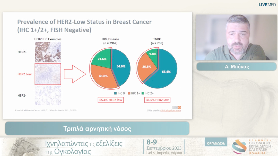 36 Α. Μπόκας - Τριπλά αρνητική νόσος 