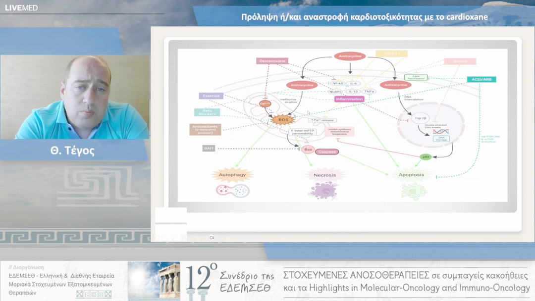 40 Θ. Τέγος - Πρόληψη ή/και αναστροφή καρδιοτοξικότητας με το cardioxane 