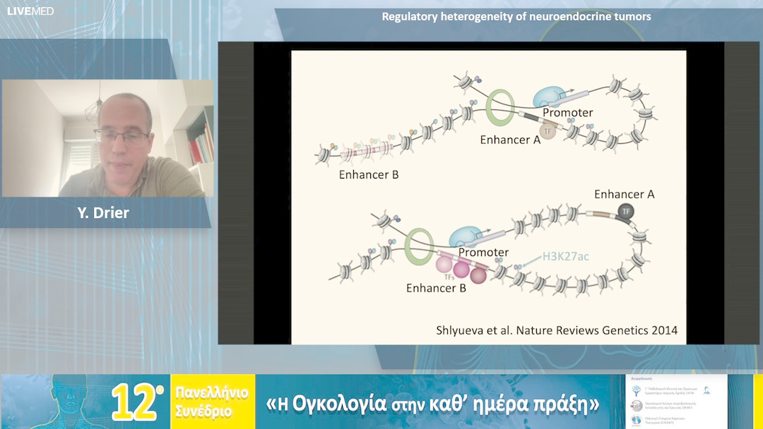 39 Y. Drier - Regulatory heterogeneity of neuroendocrine tumors 